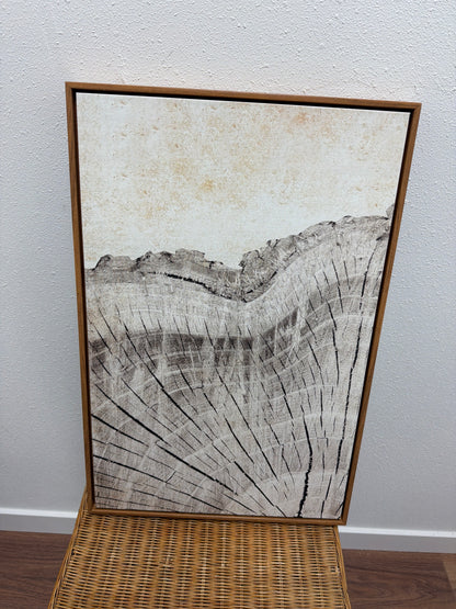 Abstract Wood Grain Canvas Wall Art — Oak Float Frame