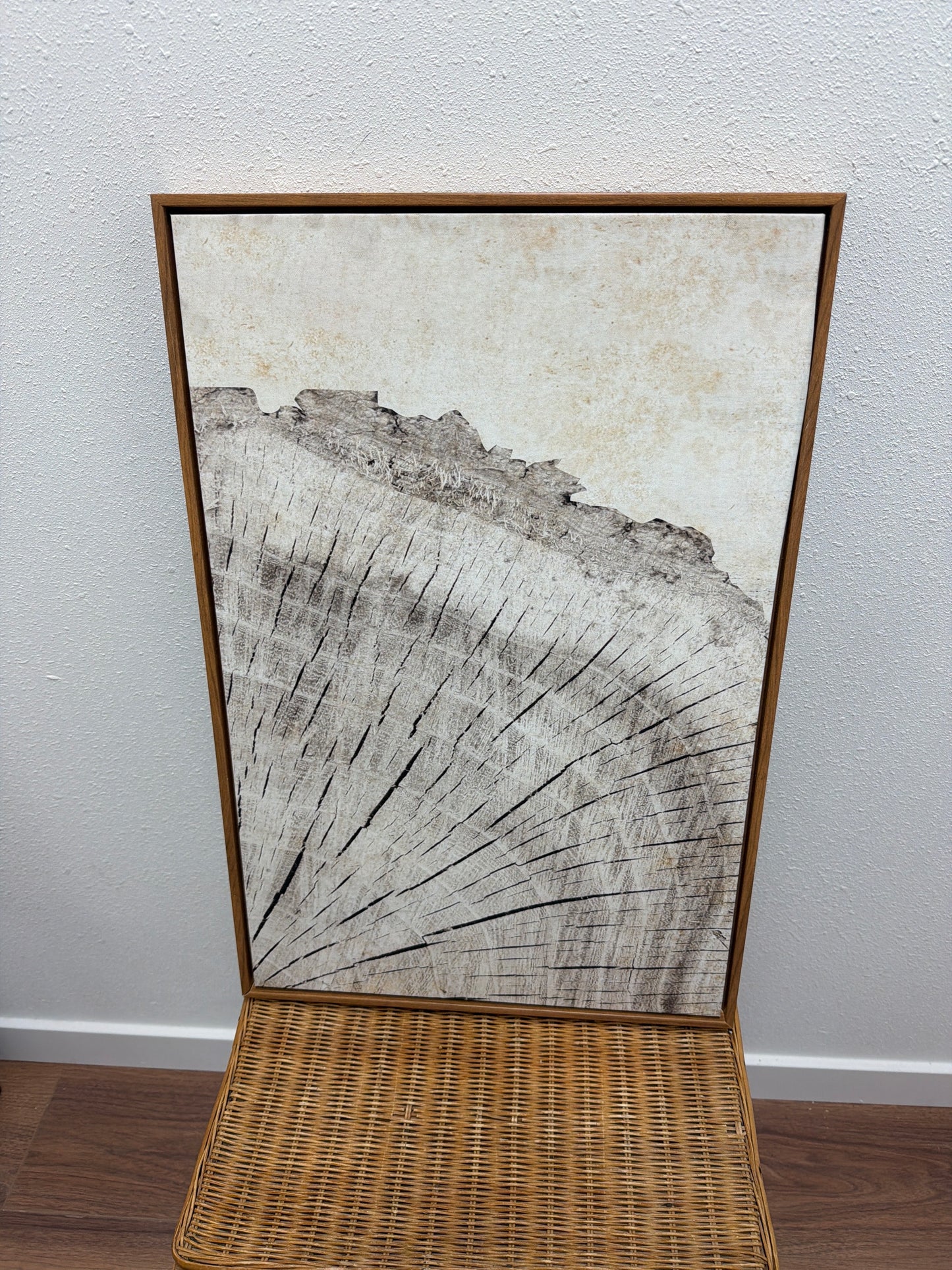 Abstract Tree Ring Canvas Wall Art — Oak Float Frame