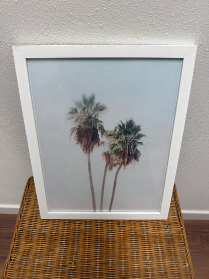 California Palm Trees Photo Print — Framed Coastal Art, White Frame