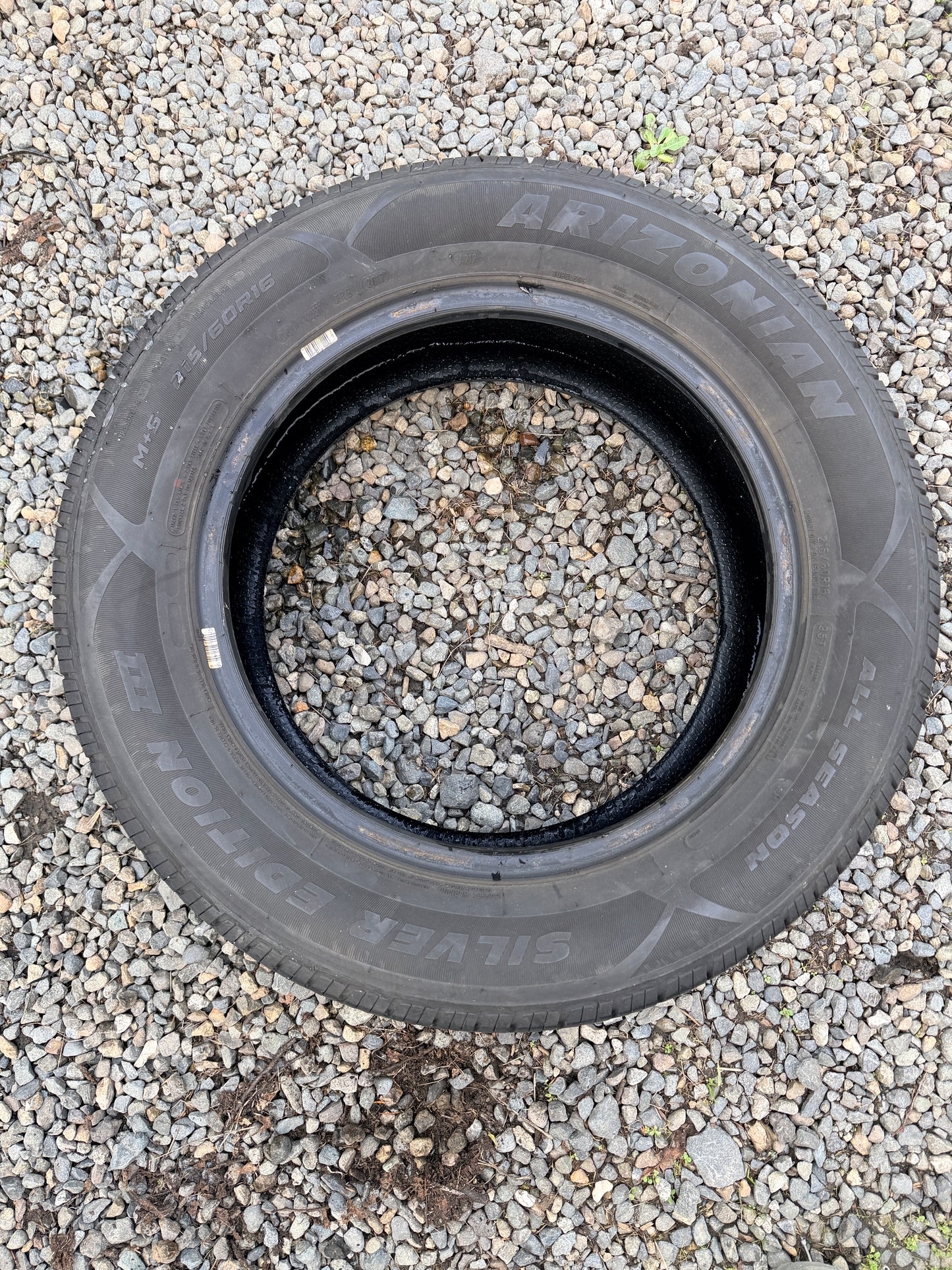 Arizonian Silver Edition III 215/60R16 sidewall