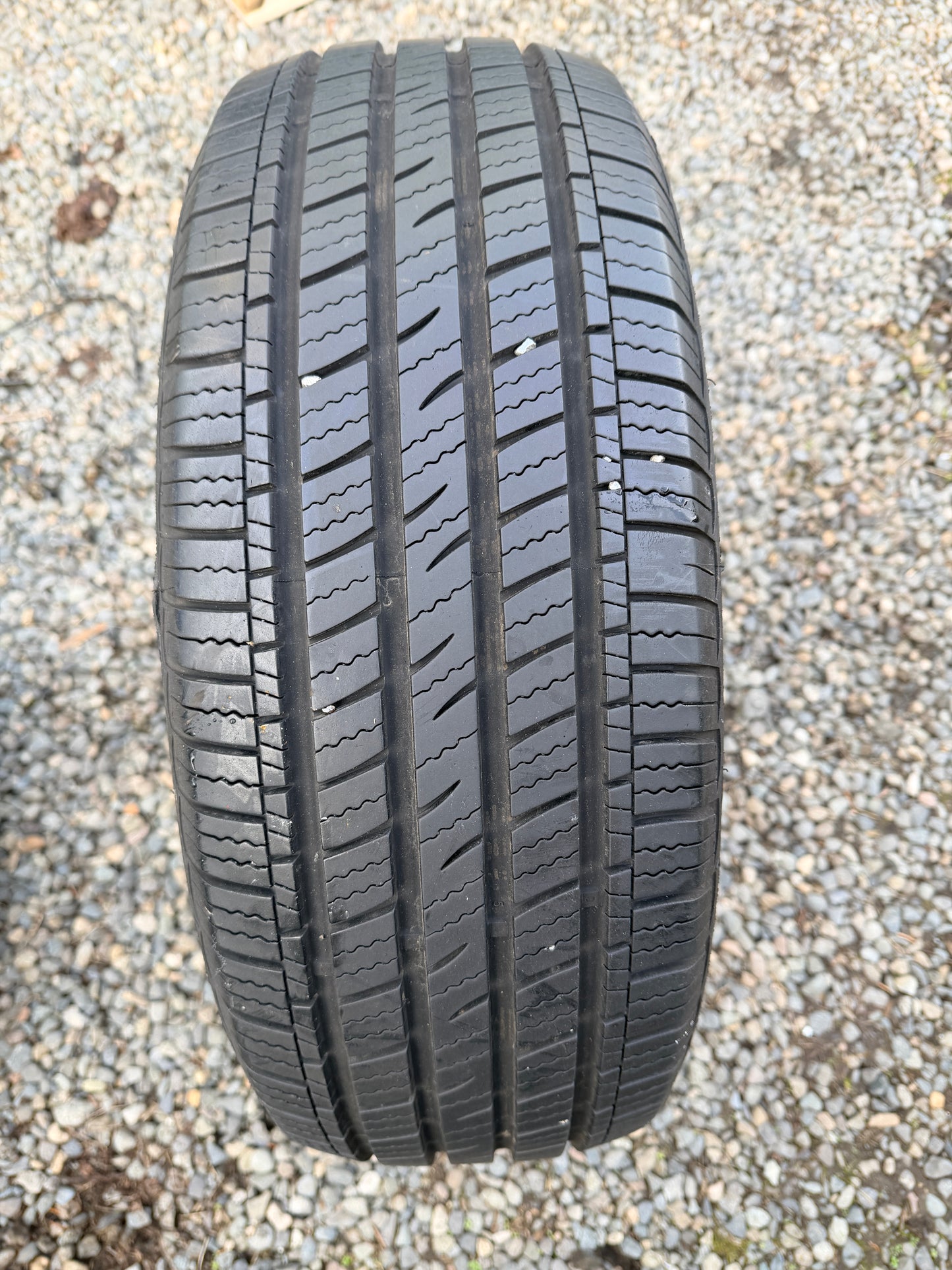 Arizonian Silver Edition III 215/60R16 tread